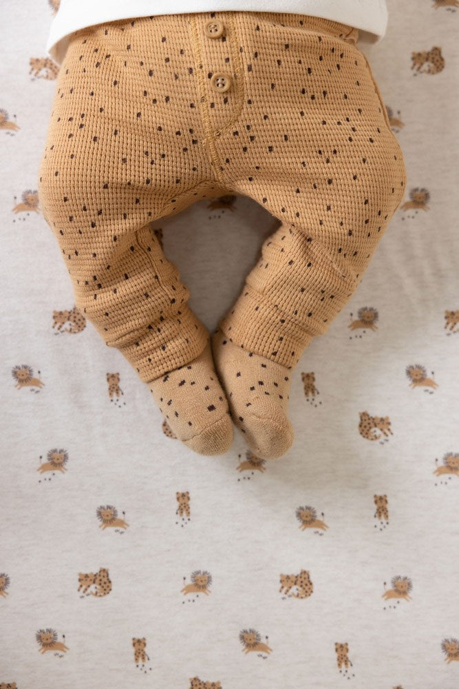 Broek AOP - Tiny Roar
