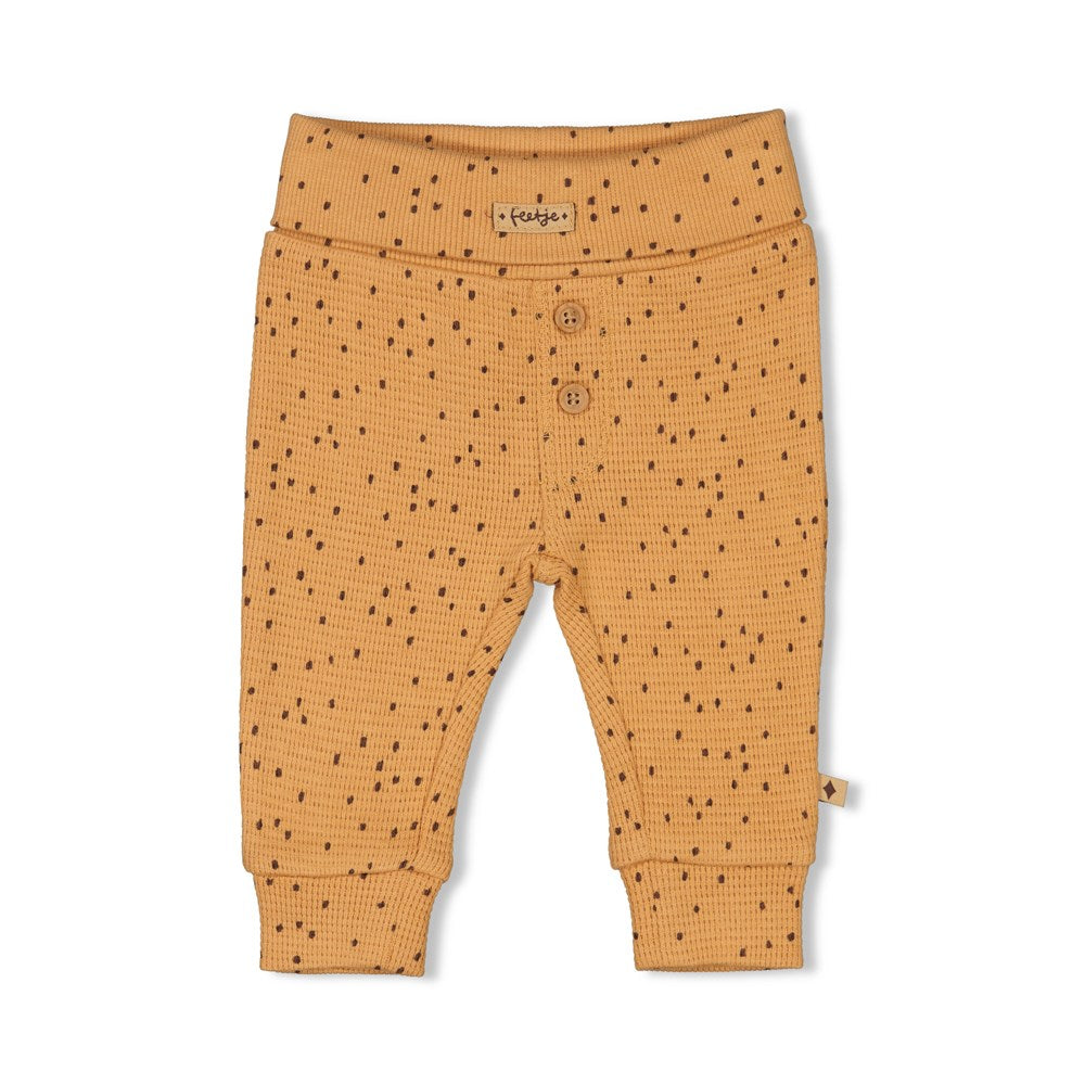 Broek AOP - Tiny Roar