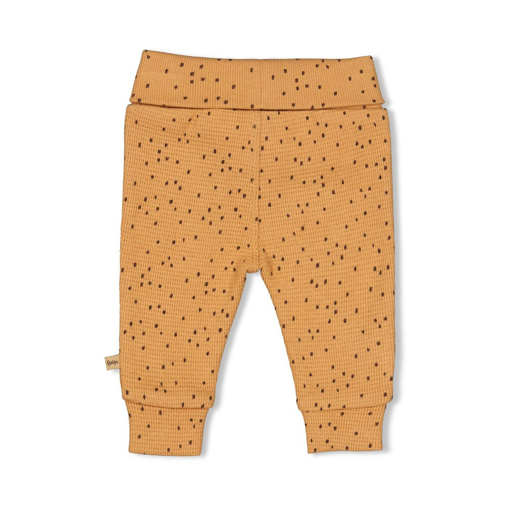 Broek AOP - Tiny Roar