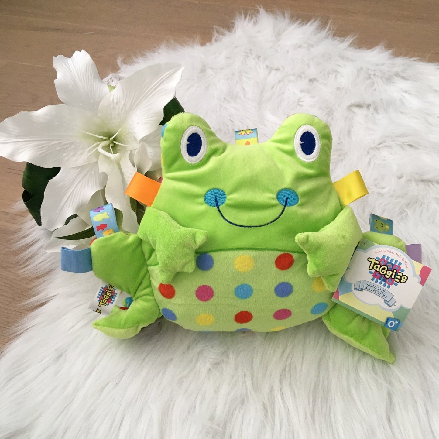 Frog soft 31cm